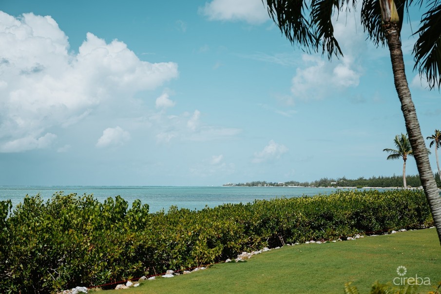 VISTA CARIBE #9 - Image 3