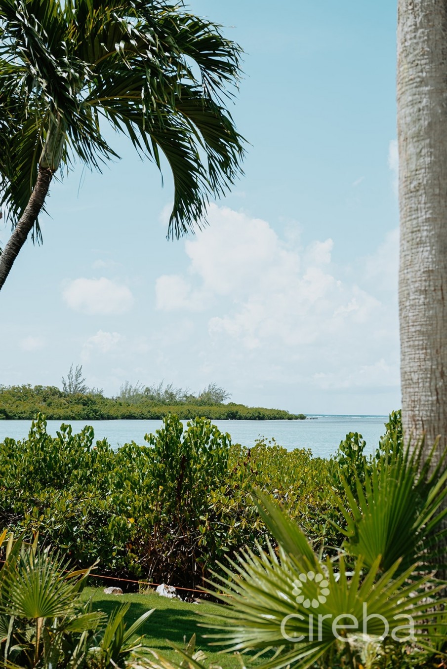 VISTA CARIBE #9 - Image 4