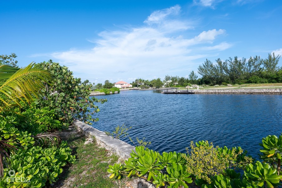 WATERFRONT LOT  @ PATRICKS ISLAND! - Image 7