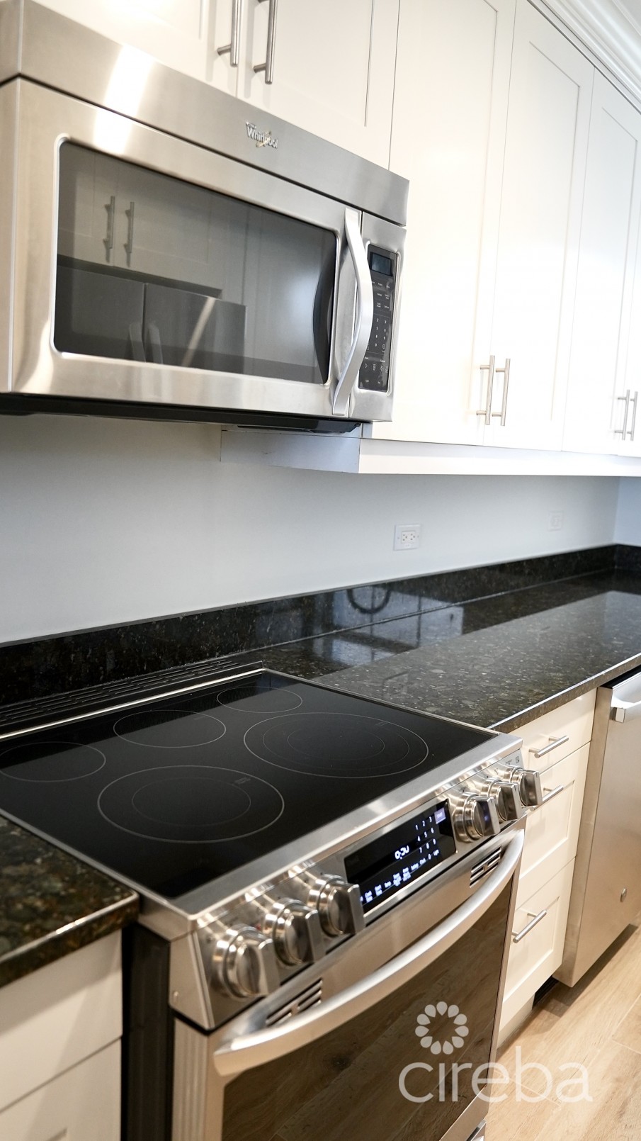 WINDSOR VILLAGE APT. 30 - Image 5