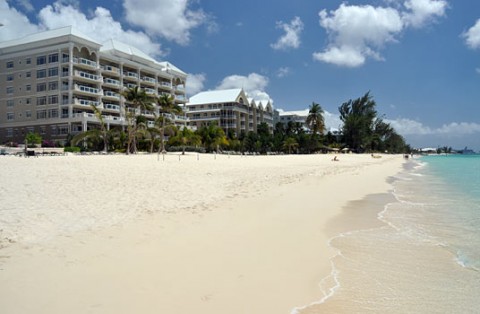 Summer Market Report by